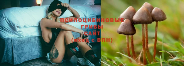 стафф Абдулино