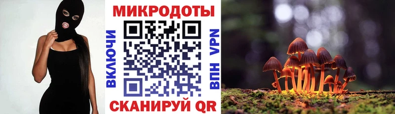 kraken tor  наркотики  Владикавказ  Галлюциногенные грибы мухоморы 