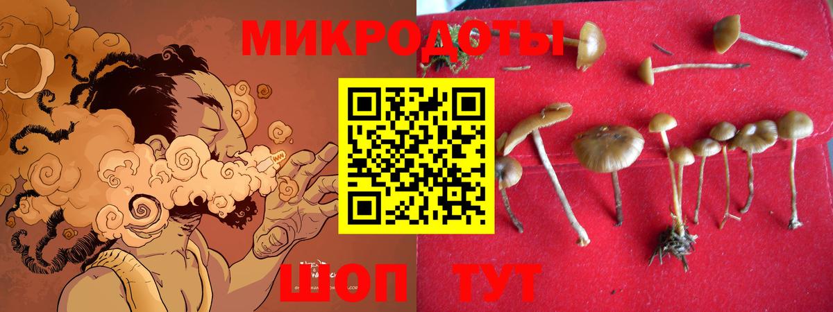 Галлюциногенные грибы Cubensis Владикавказ