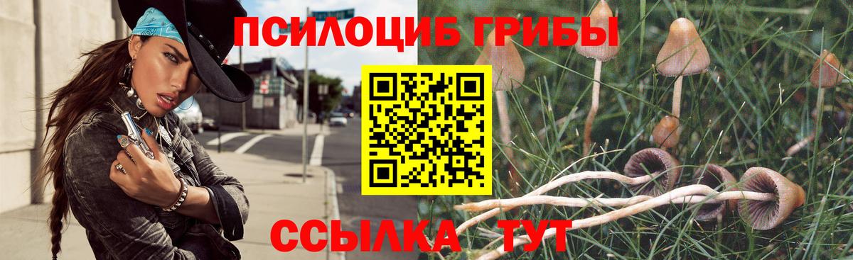 Владикавказ  Галлюциногенные грибы Cubensis  Галлюциногенные грибы мицелий  Вход с VPN 